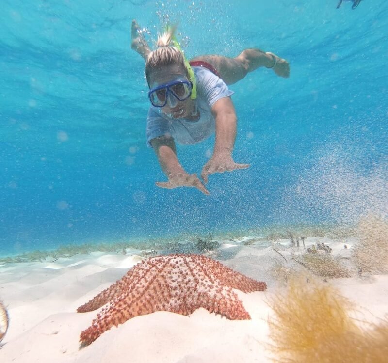 Schnorcheln Cozumel oder Akumal