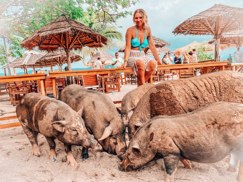 Pig Island bei Koh Samui